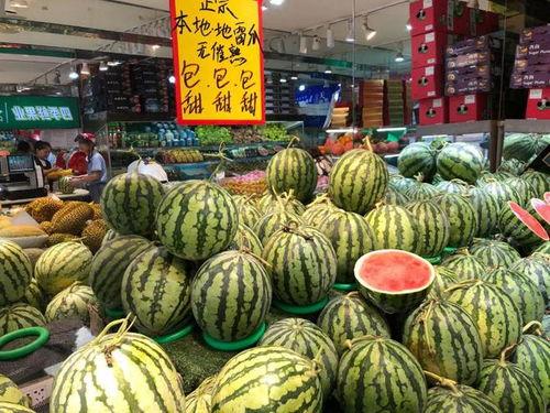 温州吃瓜视频,揭秘当地美食文化盛宴