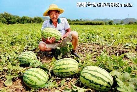 高碑店吃瓜视频最新