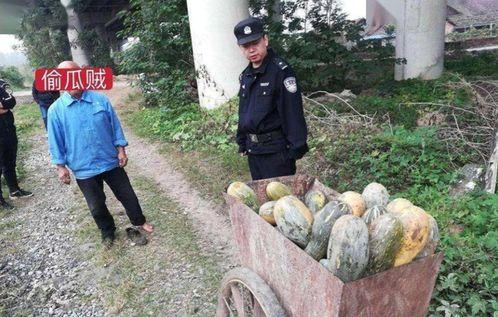 吃瓜事件真实案例图片视频,真实案例图片视频背后的惊人真相