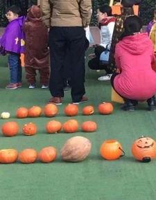 宝宝吃瓜幼儿园视频,幼儿园温馨日常瞬间