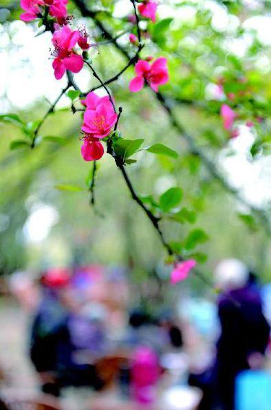 看花和吃瓜故事视频,看花吃瓜故事视频集锦