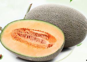 买哈密瓜吃不起怎么办视频,哈密瓜吃不起？教你几招经济实惠的替代方案