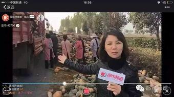 大姐吃瓜群众视频大全集,揭秘娱乐圈幕后故事大全集