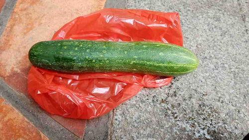 吃生瓜的视频大全,生瓜视频大全大揭秘