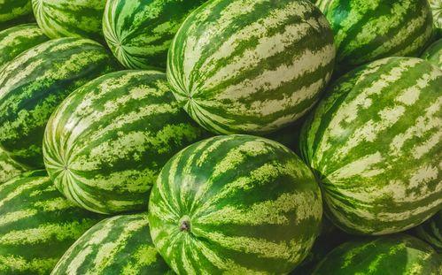 最大的吃瓜视频,一场视觉盛宴的狂欢