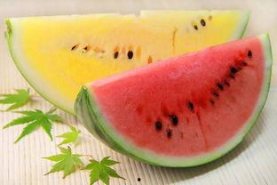 最大的吃瓜视频,一场视觉盛宴的狂欢