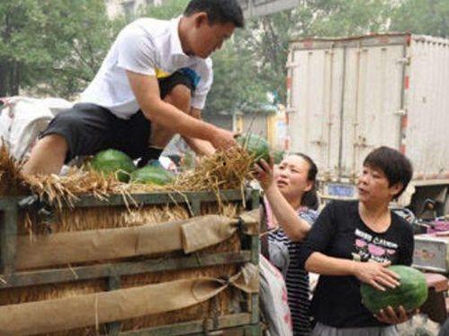 吃瓜群众卖红薯视频,吃瓜群众卖红薯，甜蜜事业引关注