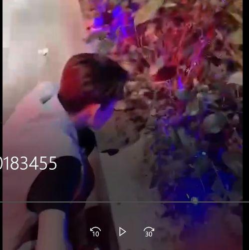 厦门最新吃瓜事件视频,视频揭秘惊人真相