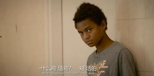 美国黑哥哥吃瓜事件视频,一场引发热议的网络奇观