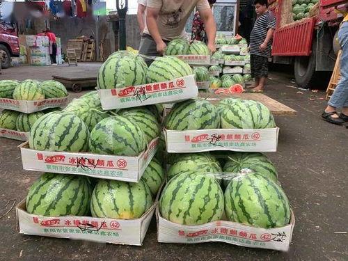 假吃瓜怎么做好吃视频,轻松学会美味假瓜料理