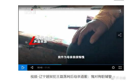 吃瓜视频越狱犯人是谁啊,吃瓜视频中的神秘越狱犯人身份大揭秘