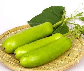 吃炒瓜会中毒吗视频播放,视频揭示惊人真相