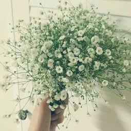 满天星小姐姐吃瓜视频,揭秘娱乐圈幕后真相