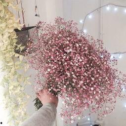 满天星小姐姐吃瓜视频,揭秘娱乐圈幕后真相