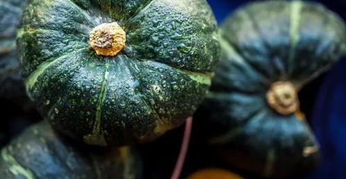 瓜如何吃更更美味呢视频,解锁美味瓜果的多样吃法