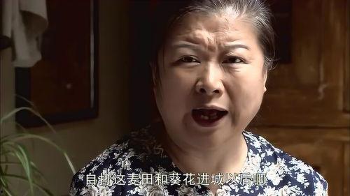 发疯吃瓜大妈视频大全,视频大全里的欢乐时光