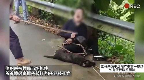 吃瓜被爷爷的棍子砸伤视频,一场意外的家庭悲剧