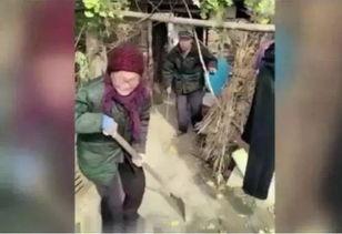 吃瓜被爷爷的棍子砸伤视频,一场意外的家庭悲剧