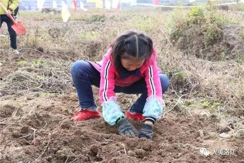 吃瓜视频挖东西,娱乐圈背后的那些事儿