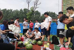 实时更新吃瓜动态图视频,揭秘娱乐圈最新热点瞬间