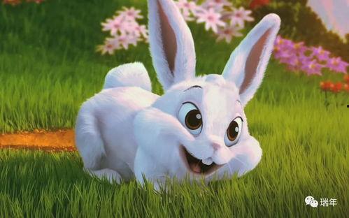 兔子会吃葫芦瓜吗视频讲解,葫芦瓜在兔子菜单中的地位