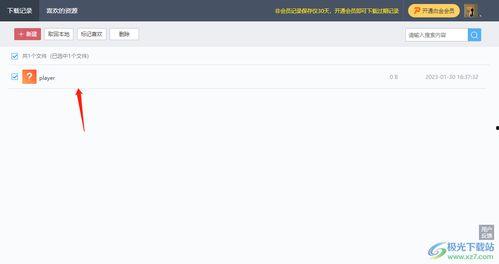 迅雷吃瓜小鱼视频下载,揭秘视频下载新利器