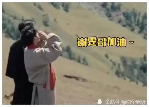 吃大瓜姐弟恋视频,揭秘姐弟恋背后的甜蜜与争议