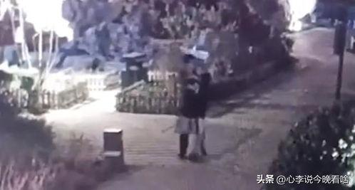 吃瓜现场警匪视频下载,惊心动魄的抓捕瞬间