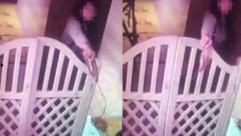 风情的吃瓜人在线观看视频,揭秘网络红人的魅力瞬间