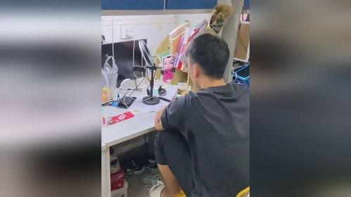 风情的吃瓜人在线观看视频,揭秘网络红人的魅力瞬间