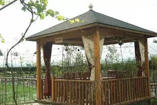 吃瓜群凉亭视频大全集