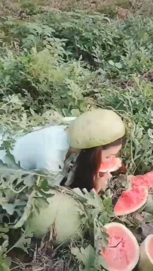 吃小瓜的搞笑视频合集,让你笑到肚子疼