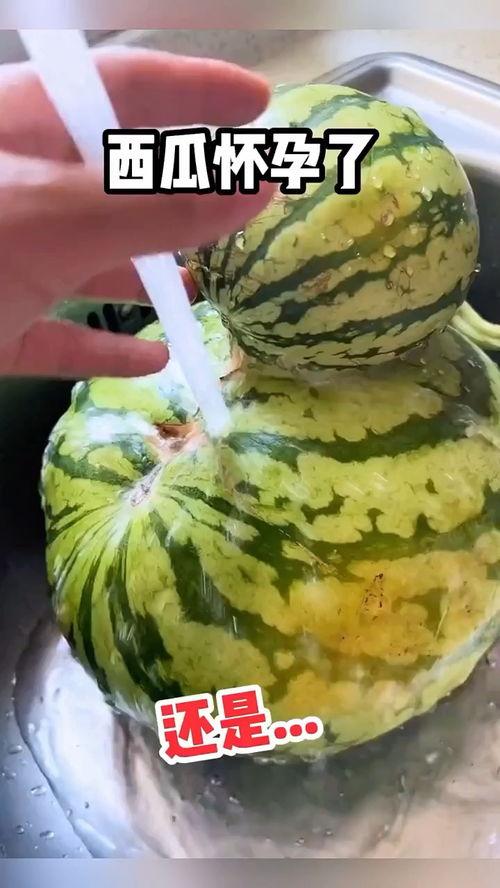 吃小瓜的搞笑视频合集,让你笑到肚子疼