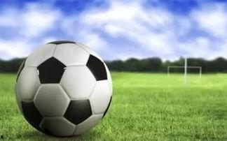 足球导播吃瓜视频下载,一场场精彩赛事背后的幕后故事