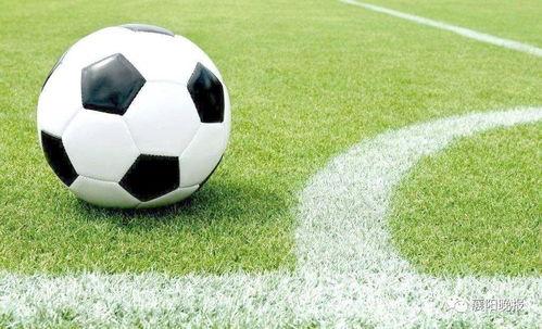 足球导播吃瓜视频下载,一场场精彩赛事背后的幕后故事