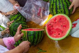 卖瓜的吃瓜视频大全最新