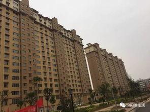 汾阳东方国际城吃瓜在线视频播放,吃瓜在线，揭秘网红直播背后的故事