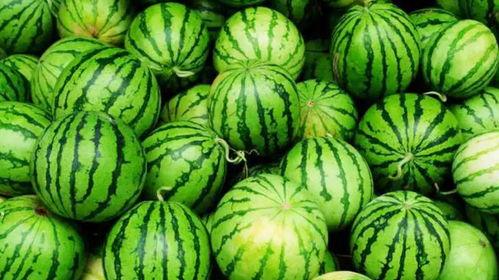 爆火最新吃瓜视频在线观看,最新热门事件一网打尽