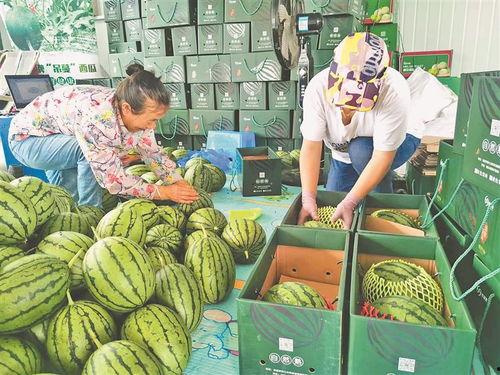 西平最近吃瓜事件视频,揭秘网络热议背后的真相