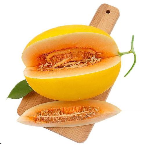 小伙吃蜜瓜视频