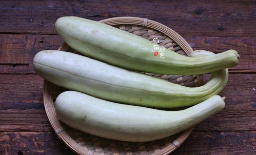 银瓜啥季节吃最好呢视频,银瓜最佳食用季节揭秘