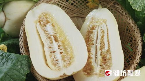 银瓜啥季节吃最好呢视频,银瓜最佳食用季节揭秘