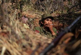 吃瓜爆料缅北视频,吃瓜爆料视频背后的真相与争议