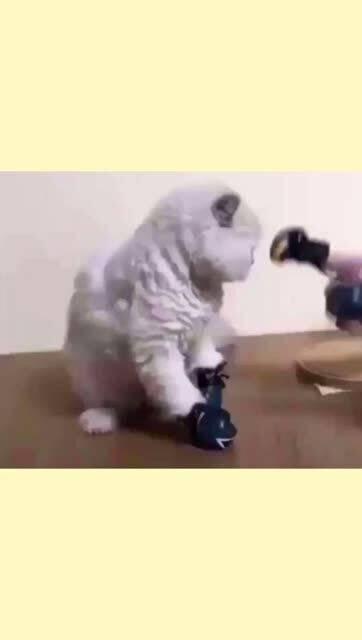 吃瓜挨揍视频在线观看,在线观看视频引发热议