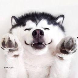 憨笑害羞吃瓜群众视频,揭秘网络红人憨笑害羞的趣味日常