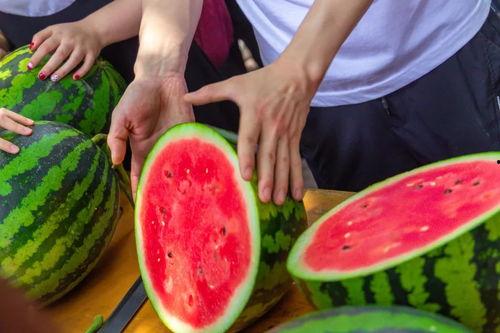 华商学院吃瓜视频,揭秘校园生活趣味瞬间