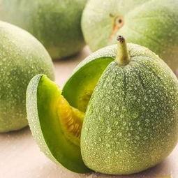 老太太吃蜜瓜视频在线观看,老太太品尝蜜瓜，温馨视频引网友热议