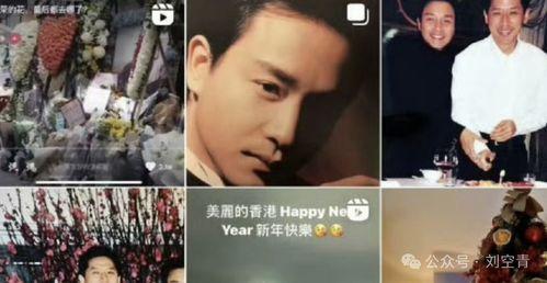 王小炮吃瓜视频大全集在线观看,揭秘娱乐圈幕后风云