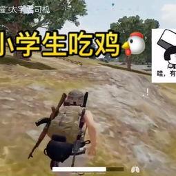 吃瓜游戏视频打鸡血