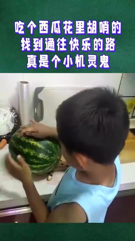 小机灵鬼吃瓜视频大全